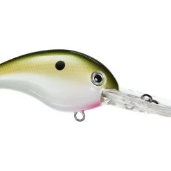 Big Rock Crankbaits Strike King 10XD Crankbait