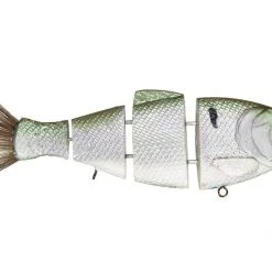 Mike Bucca Bull Shads And Bull Gills