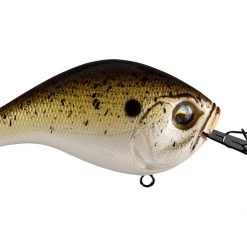 Big Rock 13 Fishing Jabber Jaw Hybrid Squarebill Crankbait Crankbaits